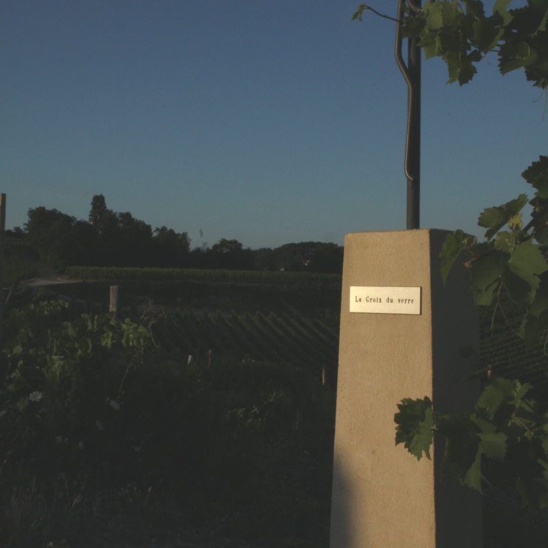 Winery Olivier Dumaine - Domaine de la Croix du Verre