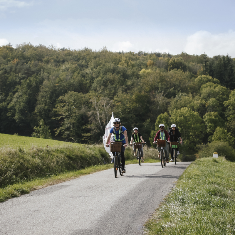 Discover Côte-Rôtie with Wine and Ride (half-day)