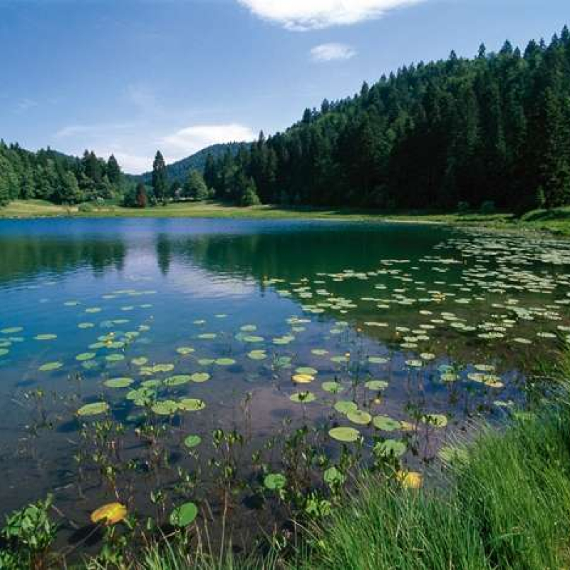 Randonnée - Le lac Genin