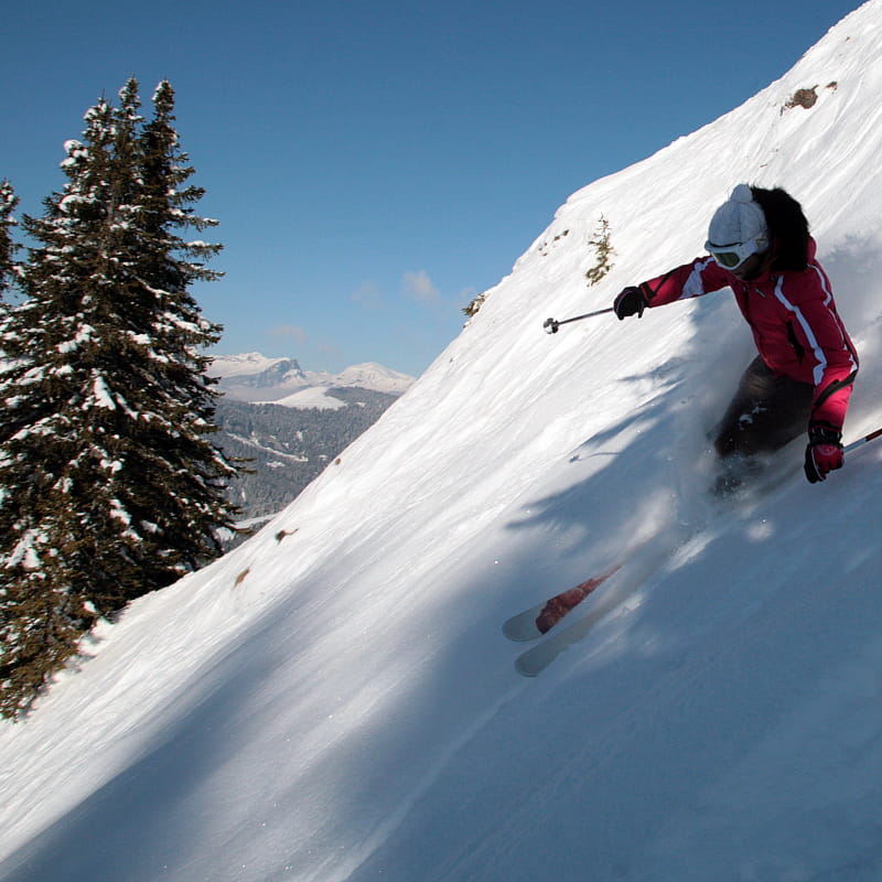 Ecole de ski et freeride