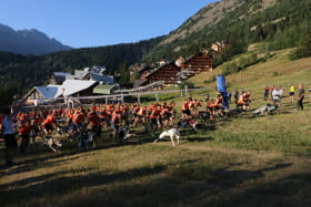 Trophée des Montagnes - Canicross 2022