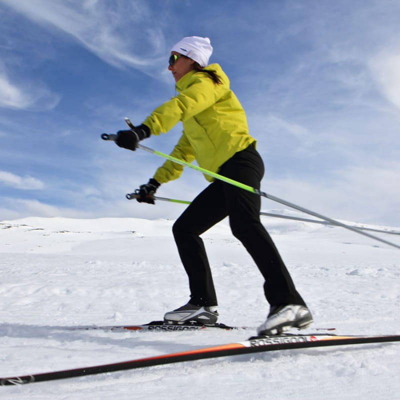Ski de Fond - Secteur Super-Besse - Plaine des Moutons