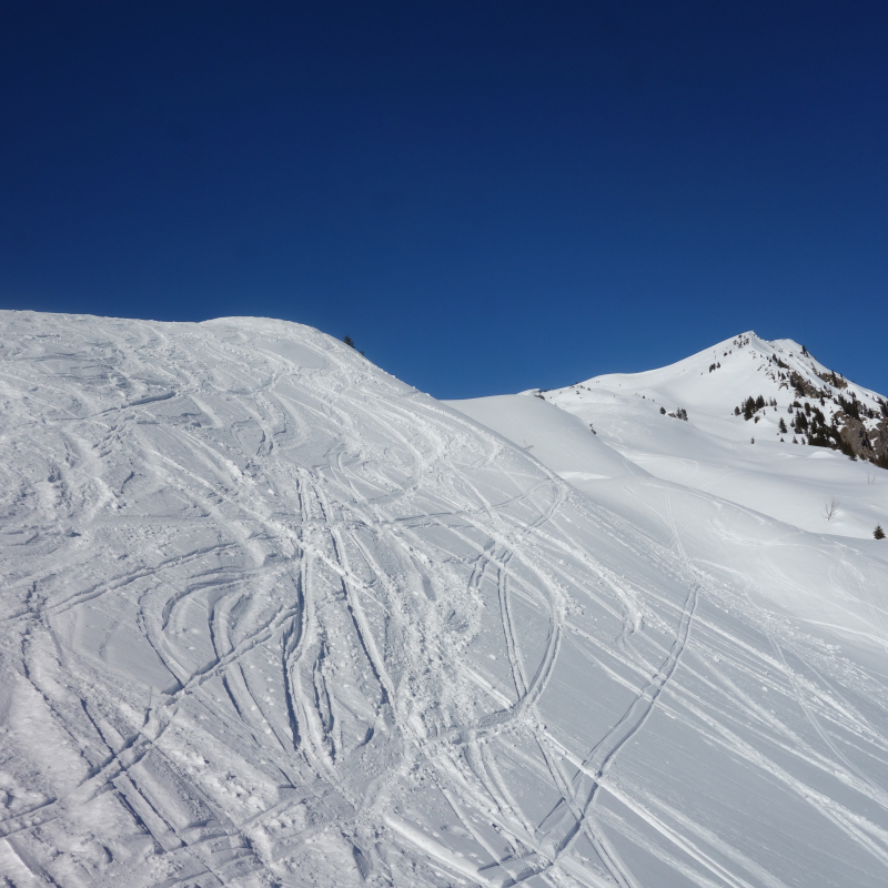Pointe d'Ardens en ski de randonnée