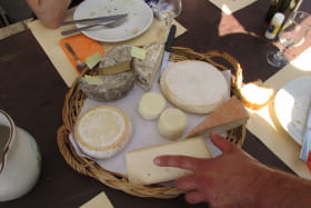 plateau des fromages de la ferme Vent des Cimes