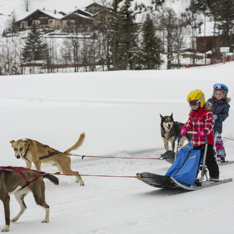 Dog sledding for kids