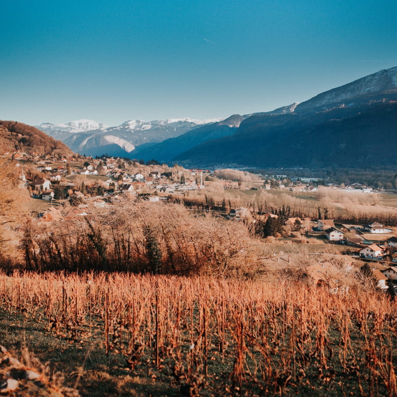 Vue Bargy - Vue Vignoble
