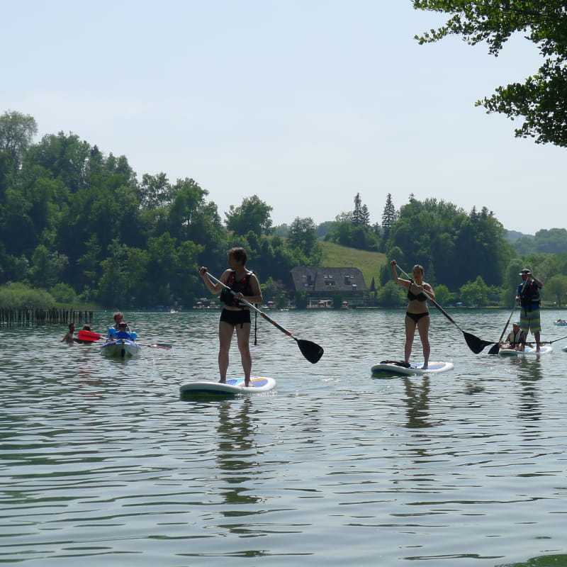 Paddle