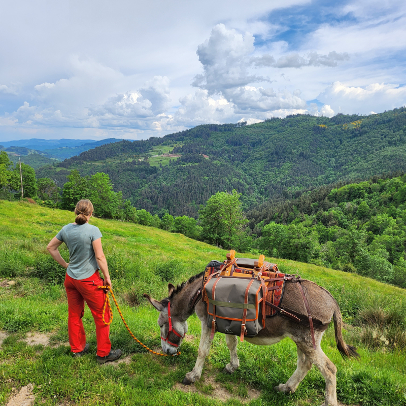 Randonner avec les Anes des Monts d'Ardèche