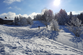 Skieur skating, dans une cote de la piste verte - Plaine Joux, les Brasses