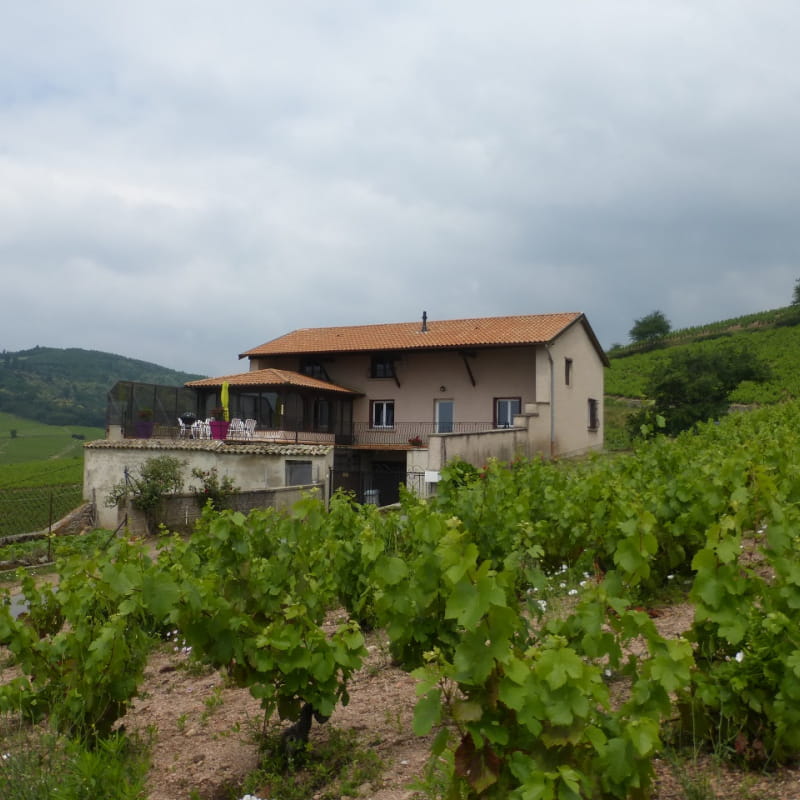 Gîte 'La Villa Joanny' à Fleurie (Rhône -  Beaujolais) : gîte au coeur des vignobles.