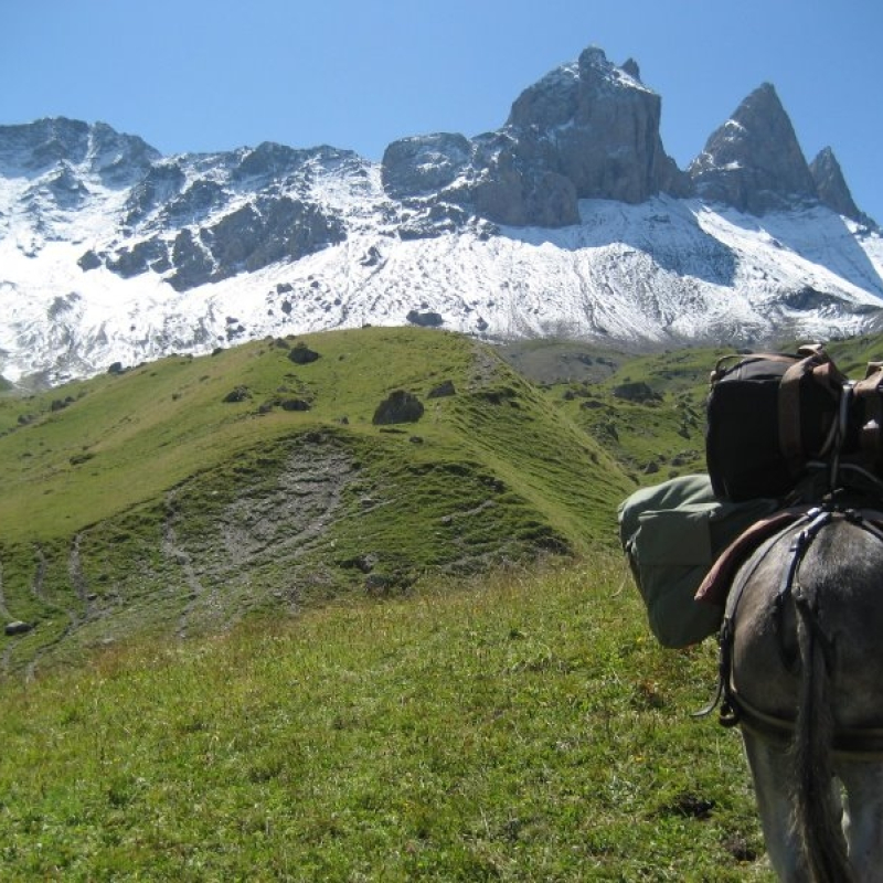 Balade avec des ânes à la découverte du plus beau panorama vers les Aiguilles d'Arves