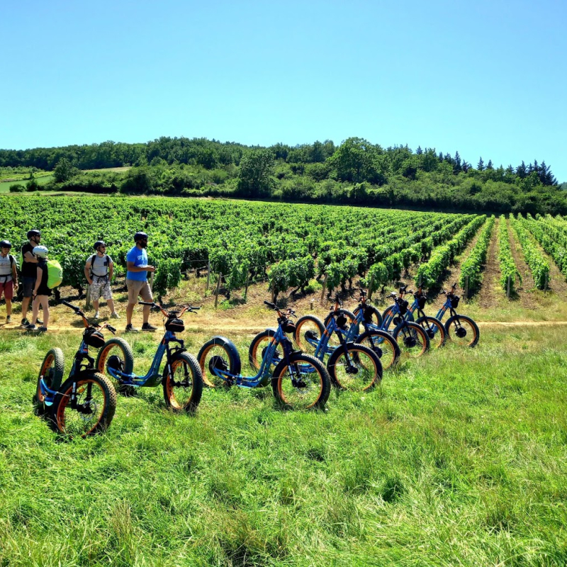 Adventure through the vineyards on an electric scooter and wine tasting