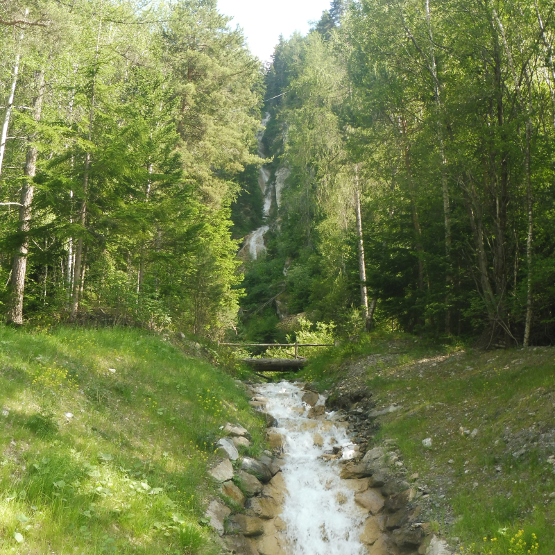 Forêt et rivière
