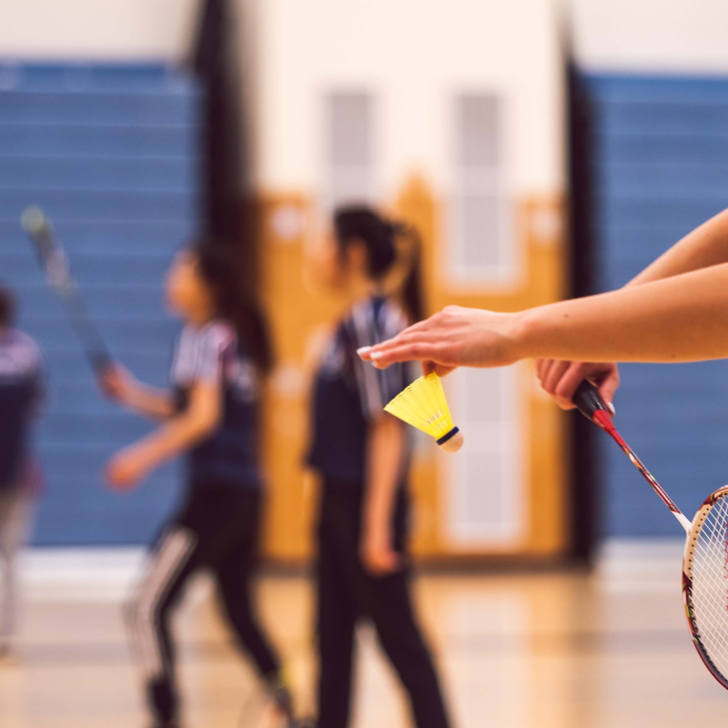 Badminton Play in Sport