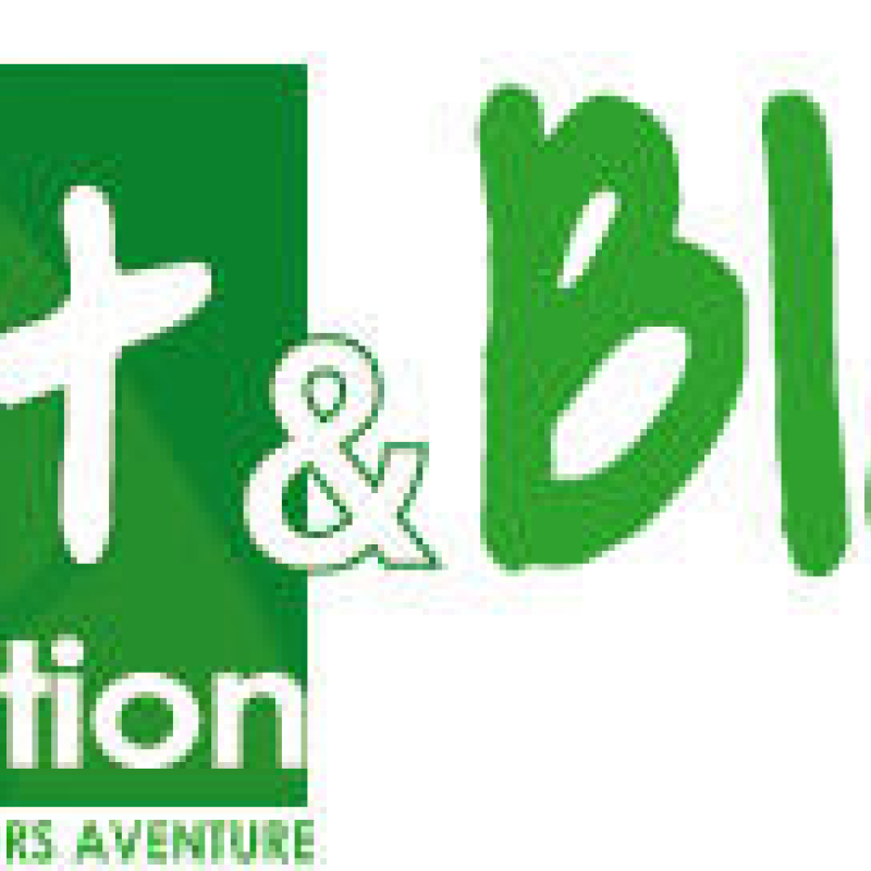 Vert & Blanc Organisation