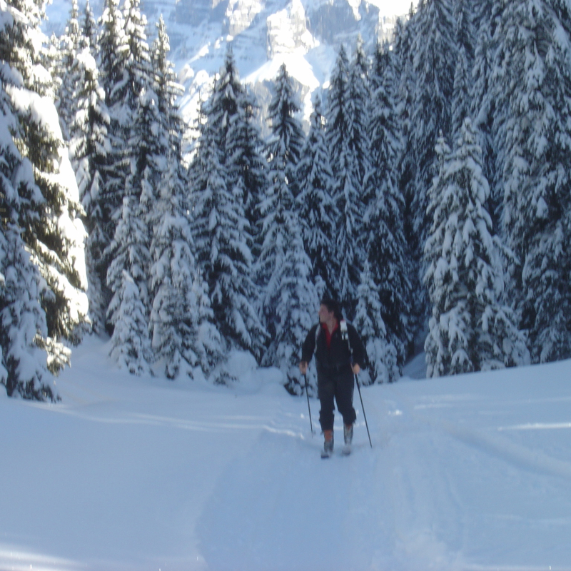 Cours de ski de fond - ESF