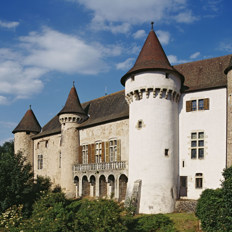 Parc du Château d'Aulteribe