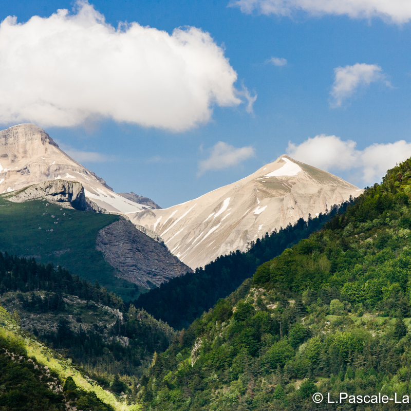 Hike to one of the Region's Summit with Vercors Escapade