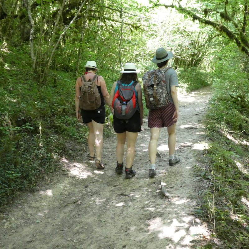 randonnée entre amis en forêt du Bugey