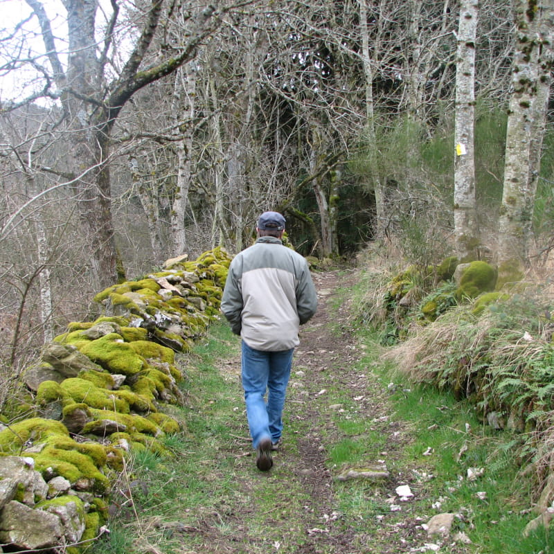 Sentier botanique forestier