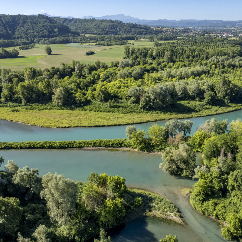 Réserve Naturelle Régionale du Haut Rhône Français