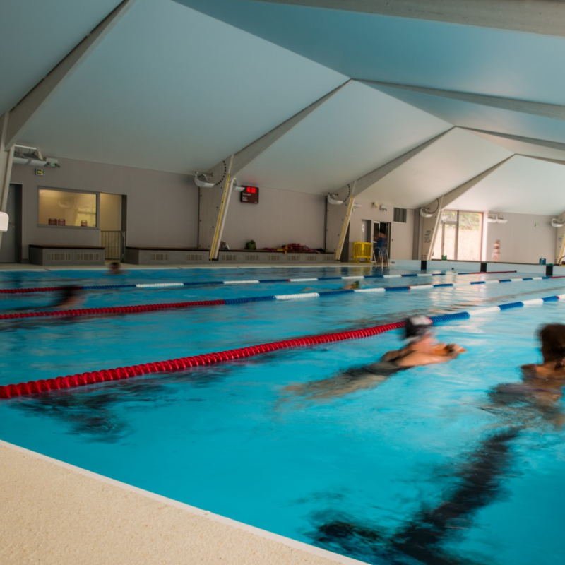La piscine de l'Hippocampe s'invite aux Jeux Olympiques