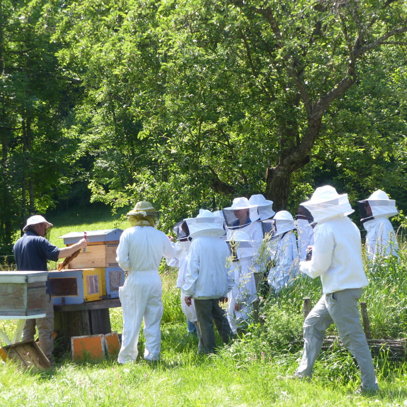 Safari abeille - freney d'oisans