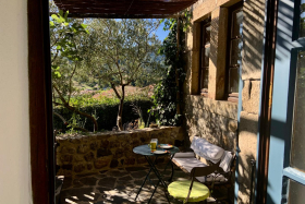 1ere terrasse, à l'ombre du figuier, olivier et vigne