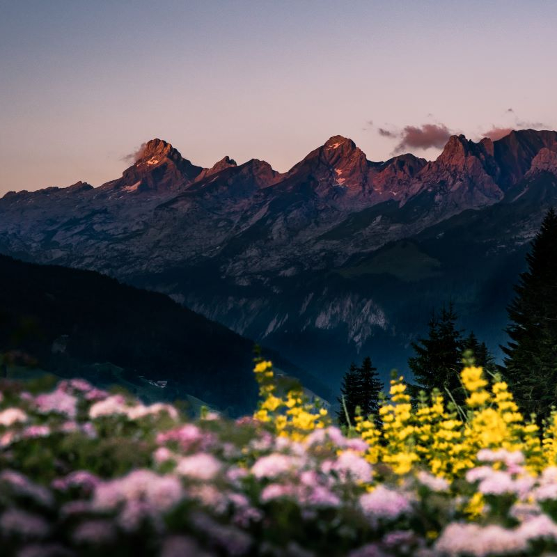 Reveil de la nature