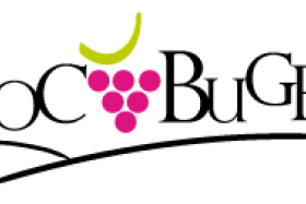Logo Vin du Bugey