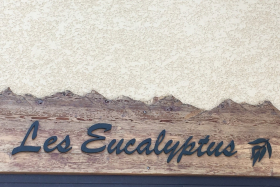 Les Eucalyptus  n°2
