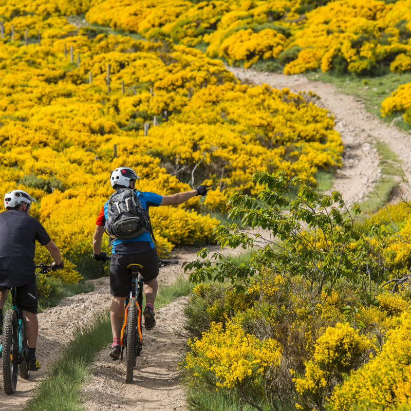 Randonnée, Séjour Vélo & VTT - Ardèche Vélo