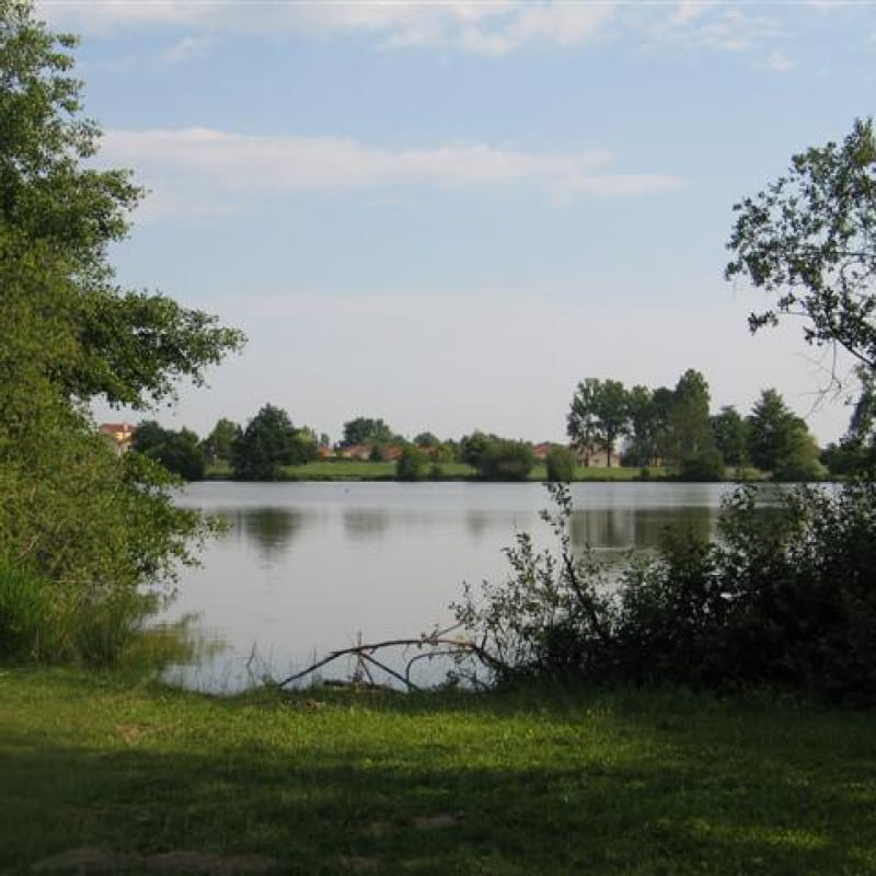 Walk around the Savigneux pond