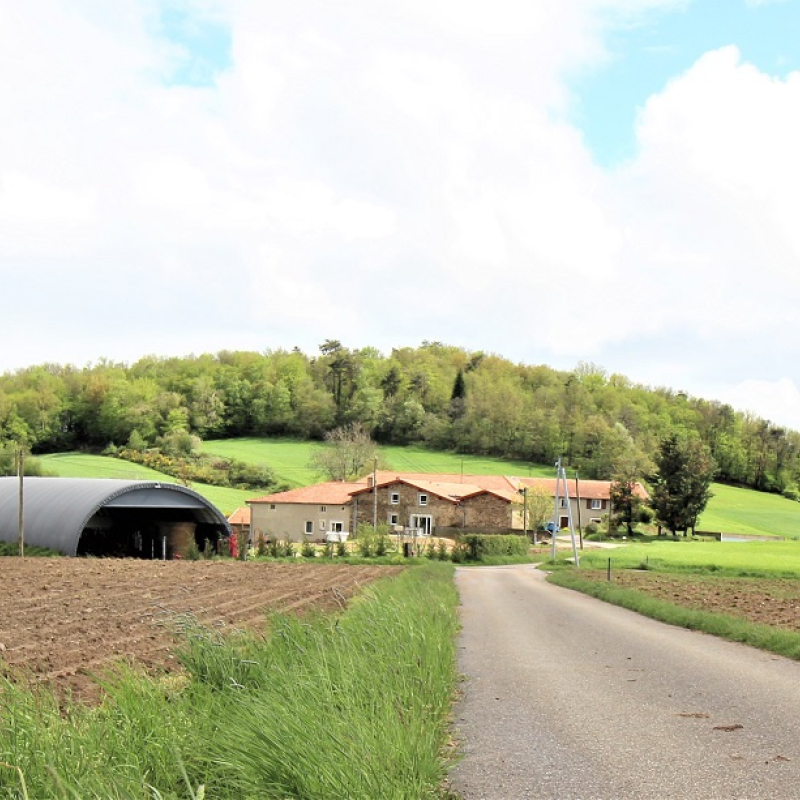 Gîte de Charmesson à St Martin en Haut (Rhône - Monts du Lyonnais, Sud-Ouest de Lyon) : la ferme en pleine campagne.