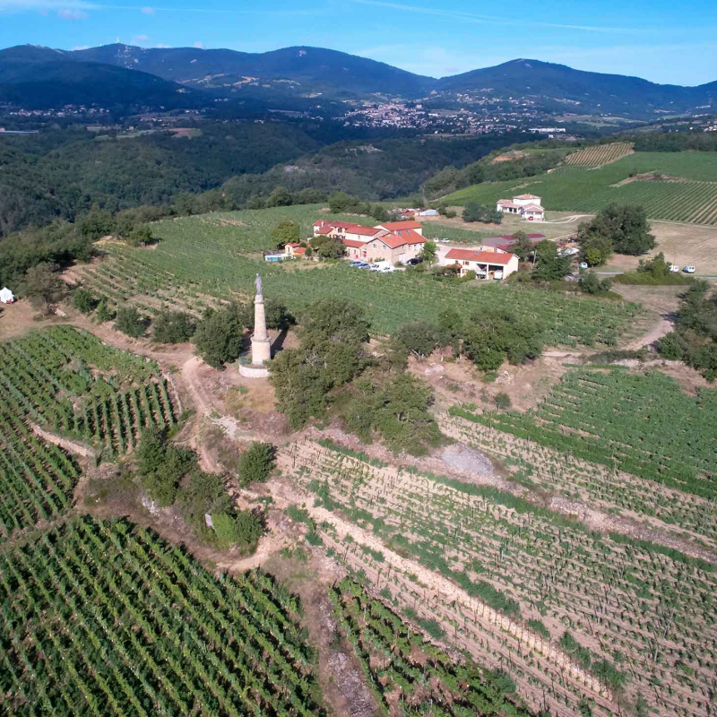 Rando Wine Trail au Domaine Verzier