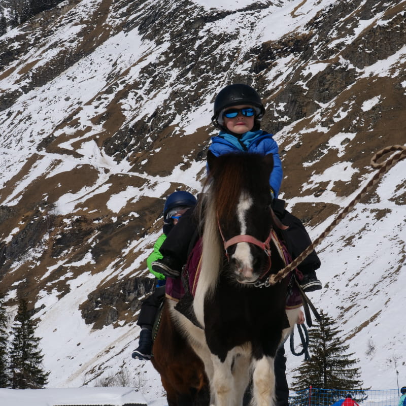 Equitation : Balades en main | le P'tit Ranch