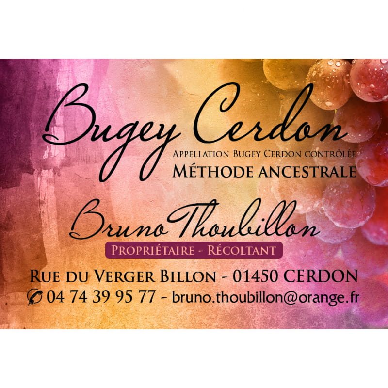 Caveau Bruno THOUBILLON