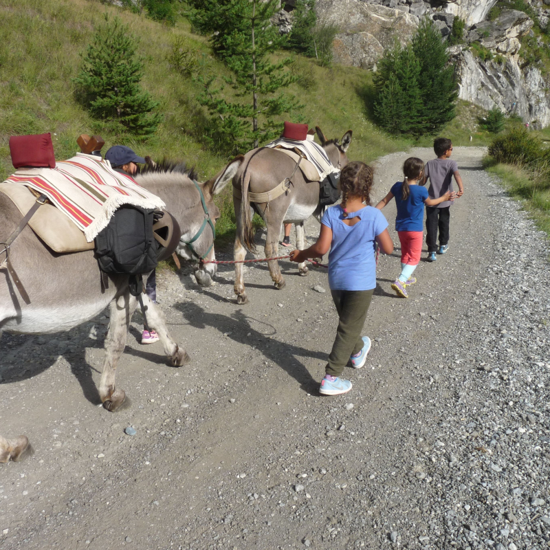 Children on a course with donkeys in Aussois