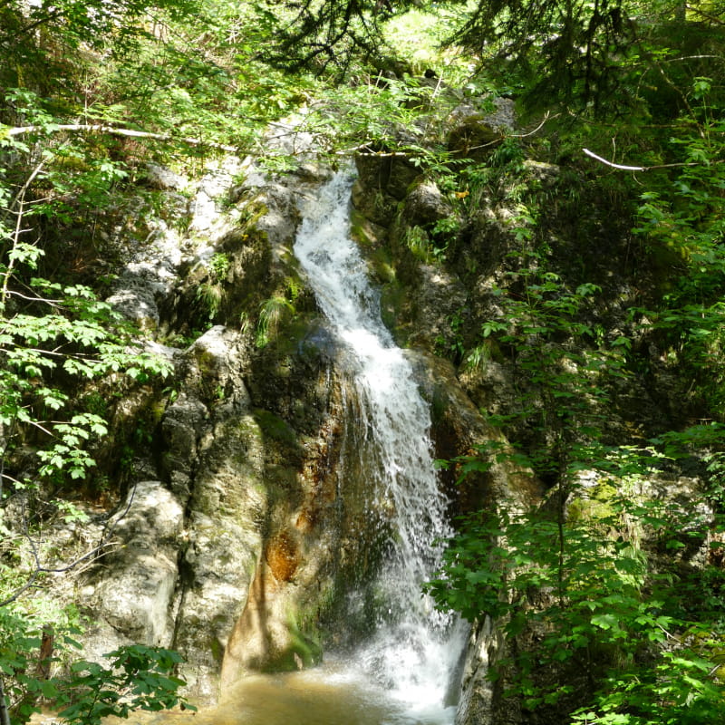 Cascade Brénod