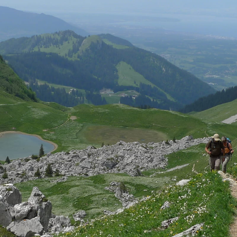 Grande Traversée des Alpes : Evian - Briançon en liberté