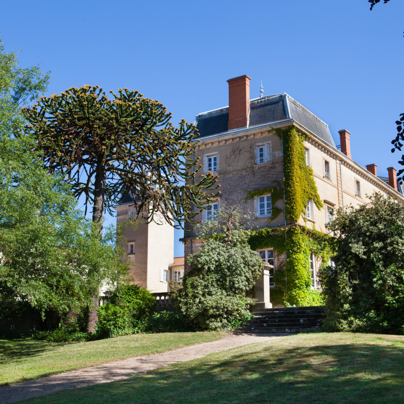 Château Bellevue - Morgon