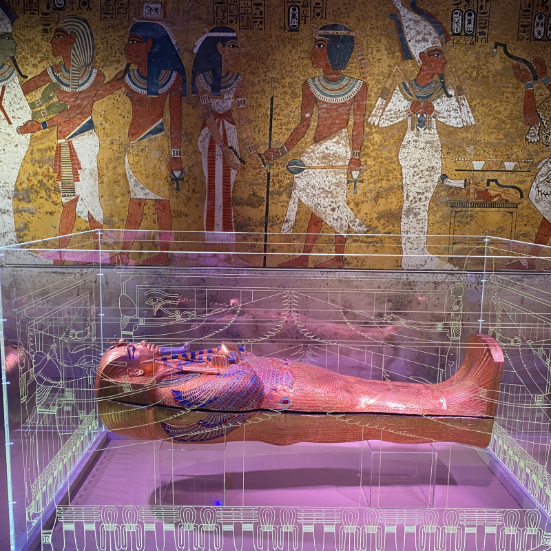 Toutankhamon - À la découverte du Pharaon oublié