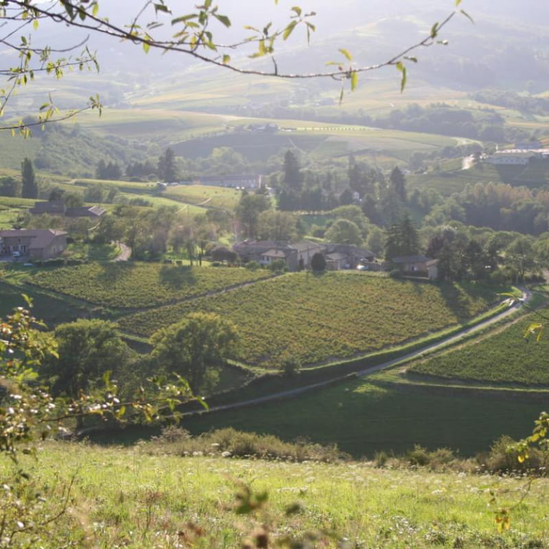 Domaine des Cotes de Remont