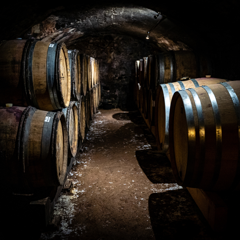 Tour-tasting: Discovering the wine estate and the Beaujolais wines