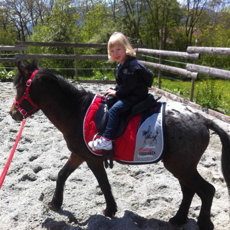 Initiation poney