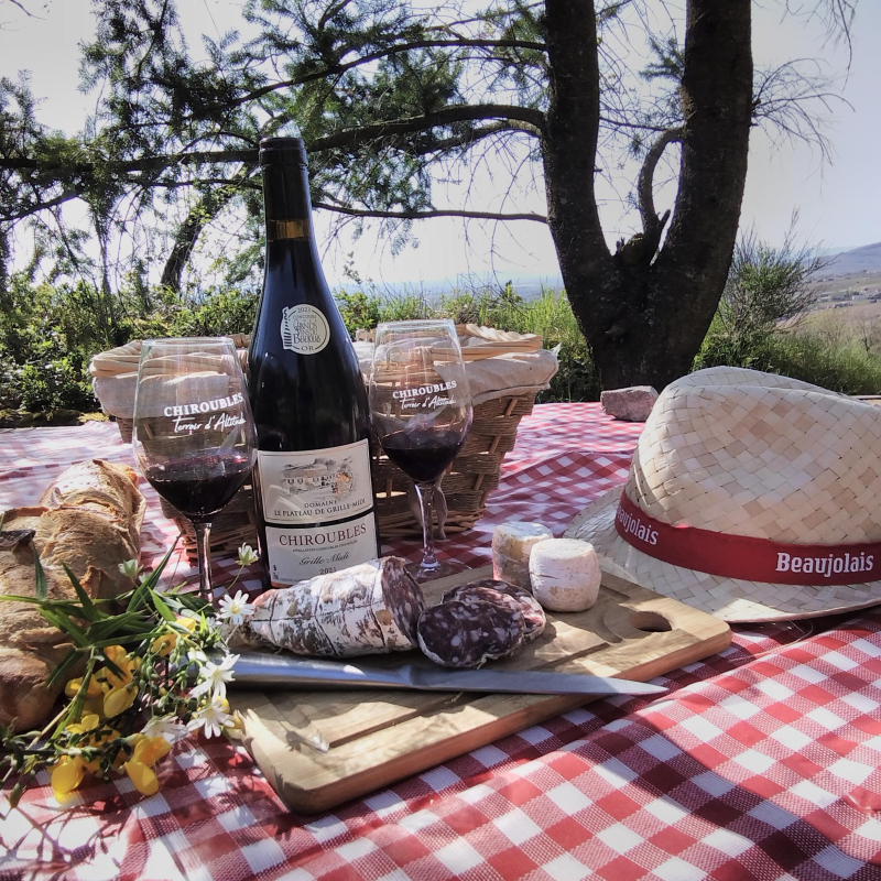 Picnic at the top of the Grille Midi vineyards