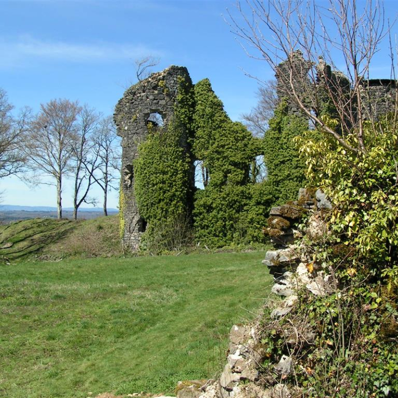 Ruines du château de Miremont