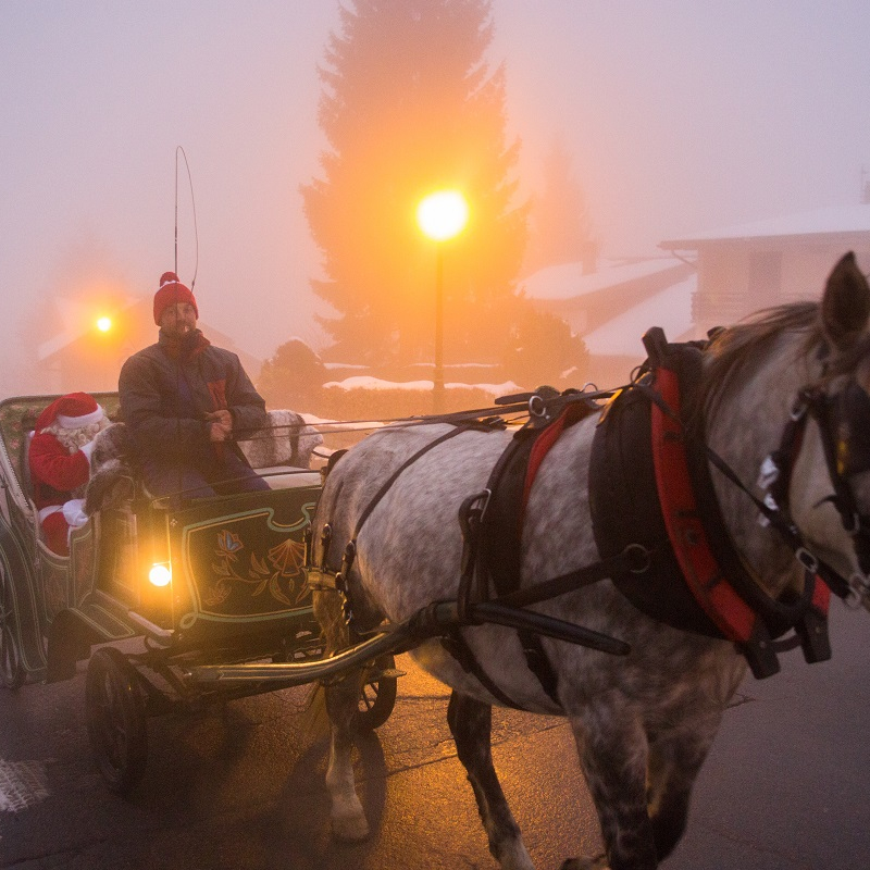 Stroll in carriage with Santa Claus