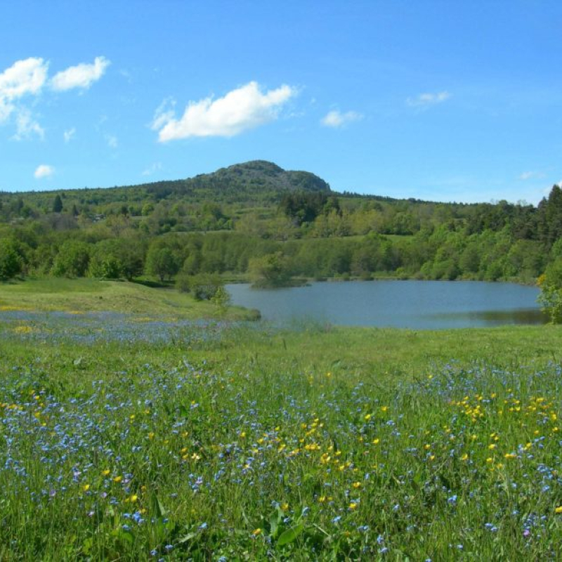 les étangs des Moulins du Bouchat