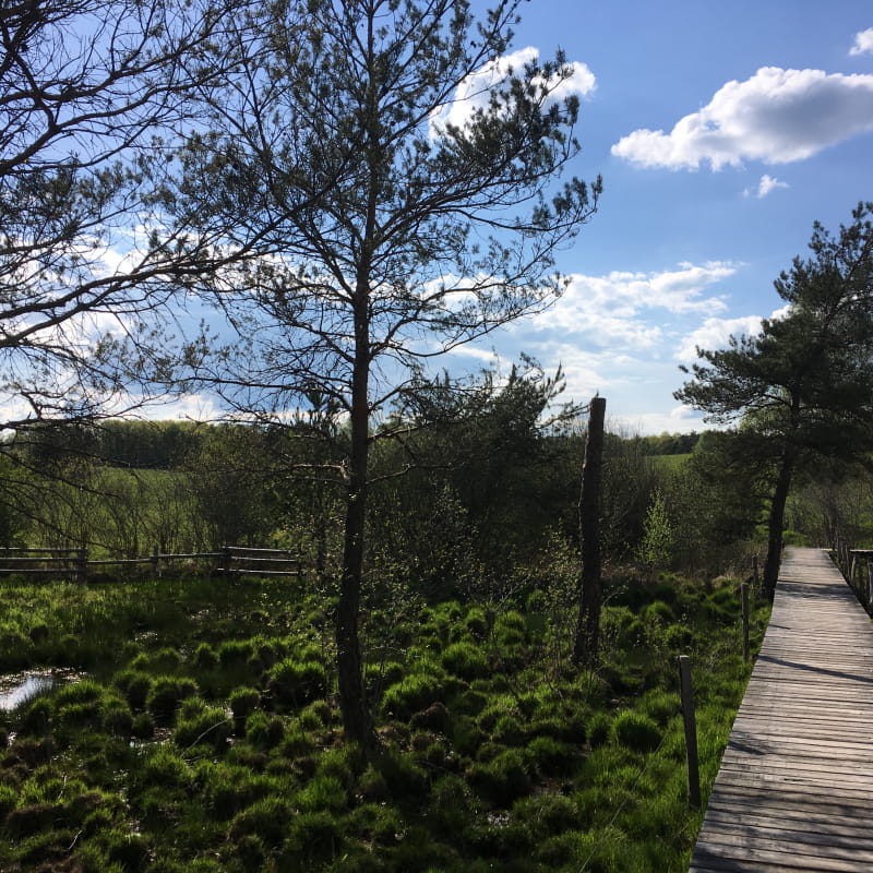 Liaison du Marais du Cassan